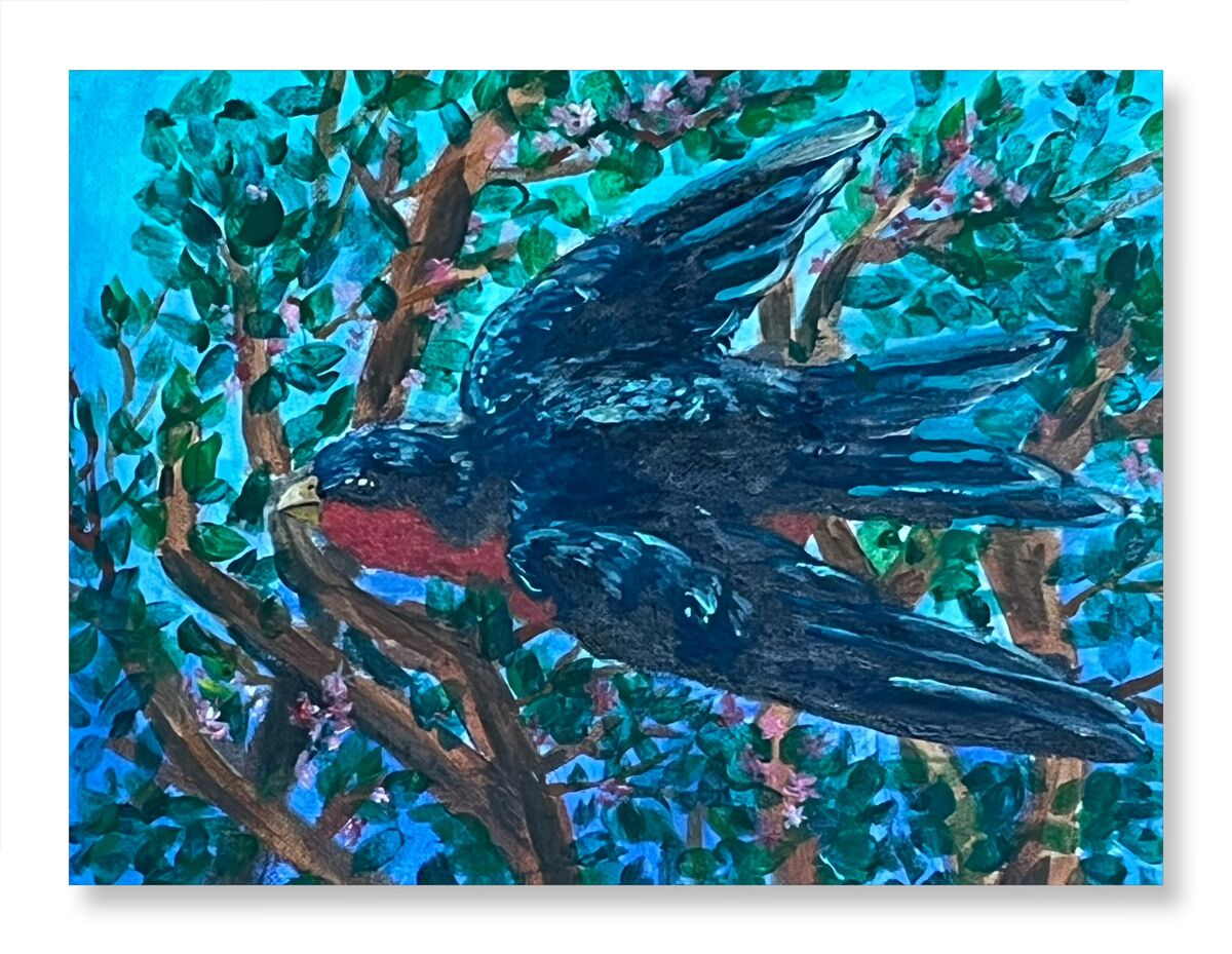 Andersen Bird - Silver Award 2024