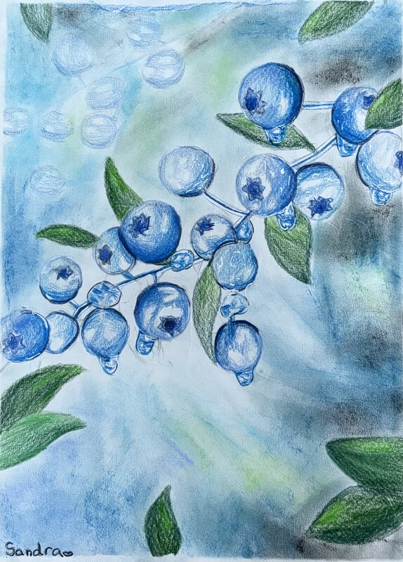 Blueberries painting, High Merit, Celebrating Art Summer 2025