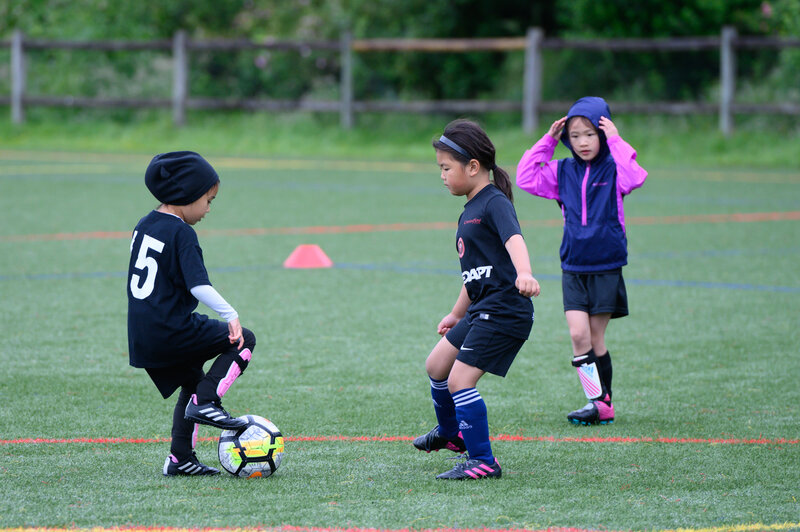 Field Play